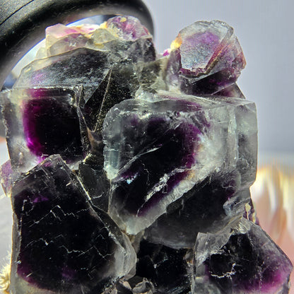 Phantom Fluorit Würfel Stufe, lila Okorusu, Namibia 41*29*15mm