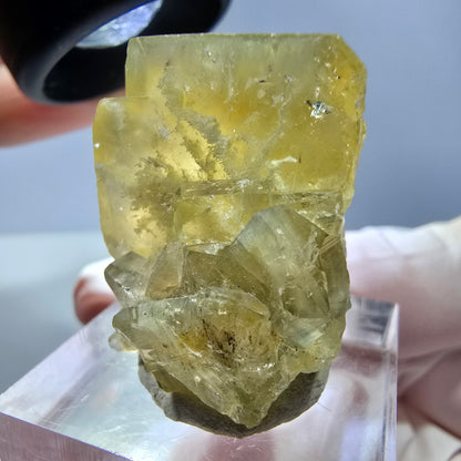 Phantom Fluorit Würfel Stufe, gelb Okorusu, Namibia 28*27*22mm