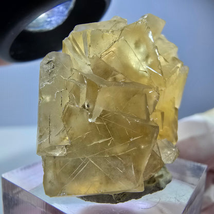 Phantom Fluorit Würfel Stufe, gelb Okorusu, Namibia 39*25*19mm