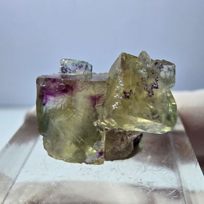 Phantom Fluorit Würfel Stufe, gelb lila Okorusu, Namibia 16*14*13mm