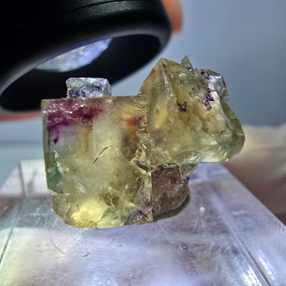 Phantom Fluorit Würfel Stufe, gelb lila Okorusu, Namibia 16*14*13mm