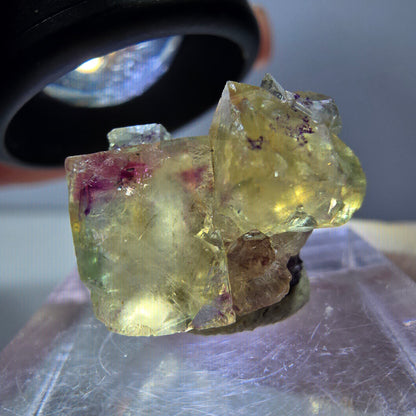 Phantom Fluorit Würfel Stufe, gelb lila Okorusu, Namibia 16*14*13mm