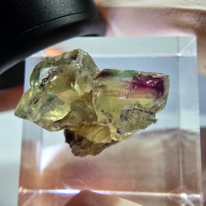 Phantom Fluorit Würfel Stufe, gelb lila Okorusu, Namibia 16*14*13mm