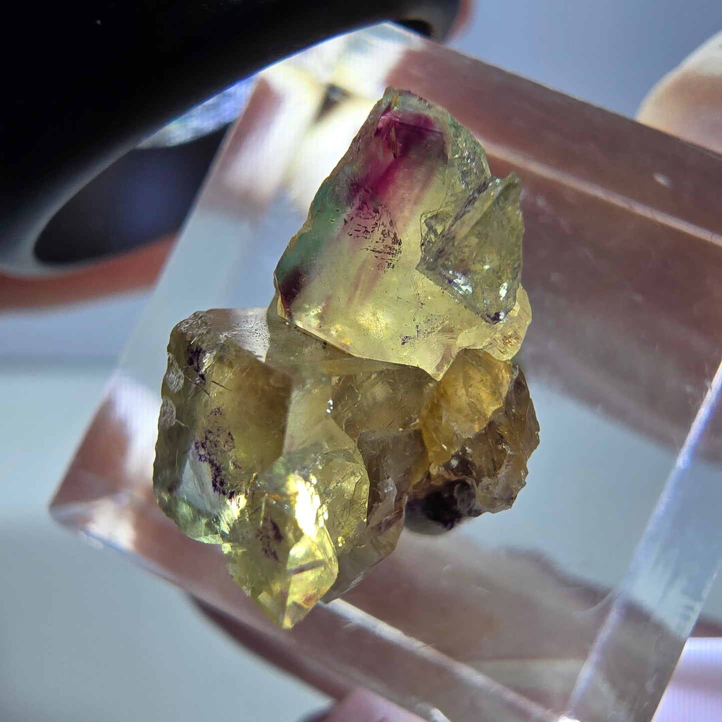 Phantom Fluorit Würfel Stufe, gelb lila Okorusu, Namibia 16*14*13mm