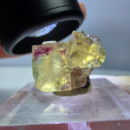 Phantom Fluorit Würfel Stufe, gelb lila Okorusu, Namibia 16*14*13mm