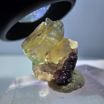 Phantom Fluorit Würfel Stufe, gelb lila Okorusu, Namibia 16*14*13mm
