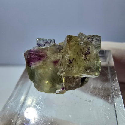 Phantom Fluorit Würfel Stufe, gelb lila Okorusu, Namibia 16*14*13mm
