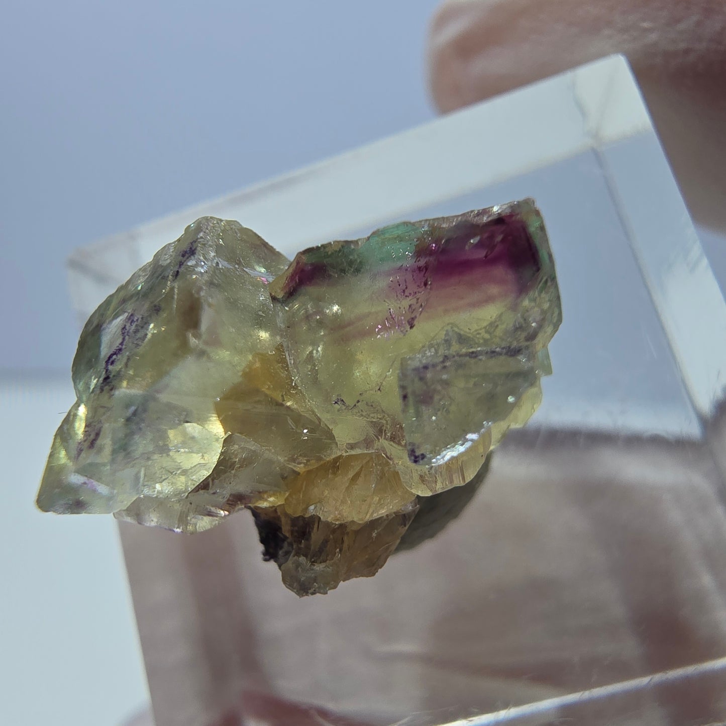 Phantom Fluorit Würfel Stufe, gelb lila Okorusu, Namibia 16*14*13mm
