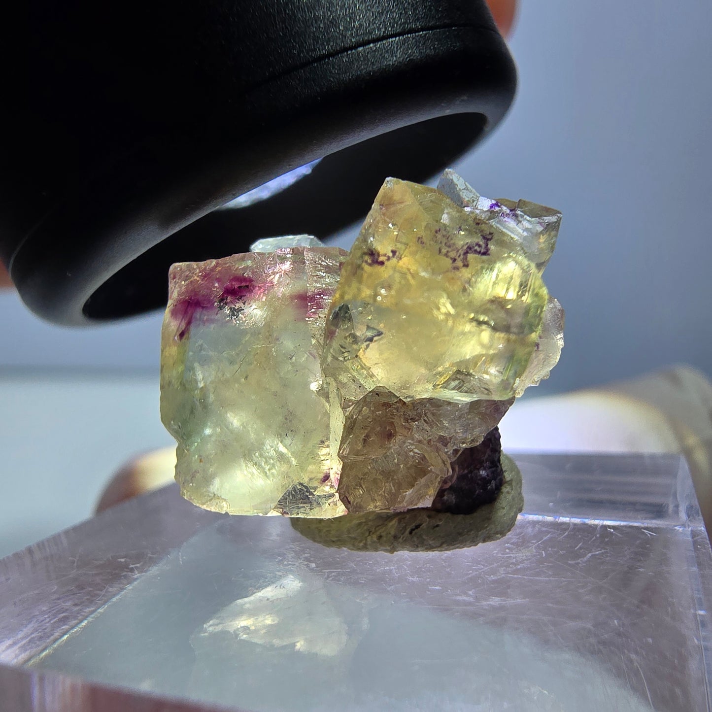 Phantom Fluorit Würfel Stufe, gelb lila Okorusu, Namibia 16*14*13mm