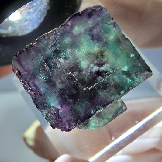 Phantom Fluorit Würfel parkettiert, grün lila Okorusu, Namibia 17*16*16mm
