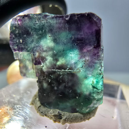 Phantom Fluorit Würfel parkettiert, grün lila Okorusu, Namibia 17*16*16mm