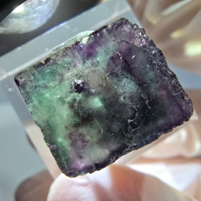 Phantom Fluorit Würfel parkettiert, grün lila Okorusu, Namibia 17*16*16mm