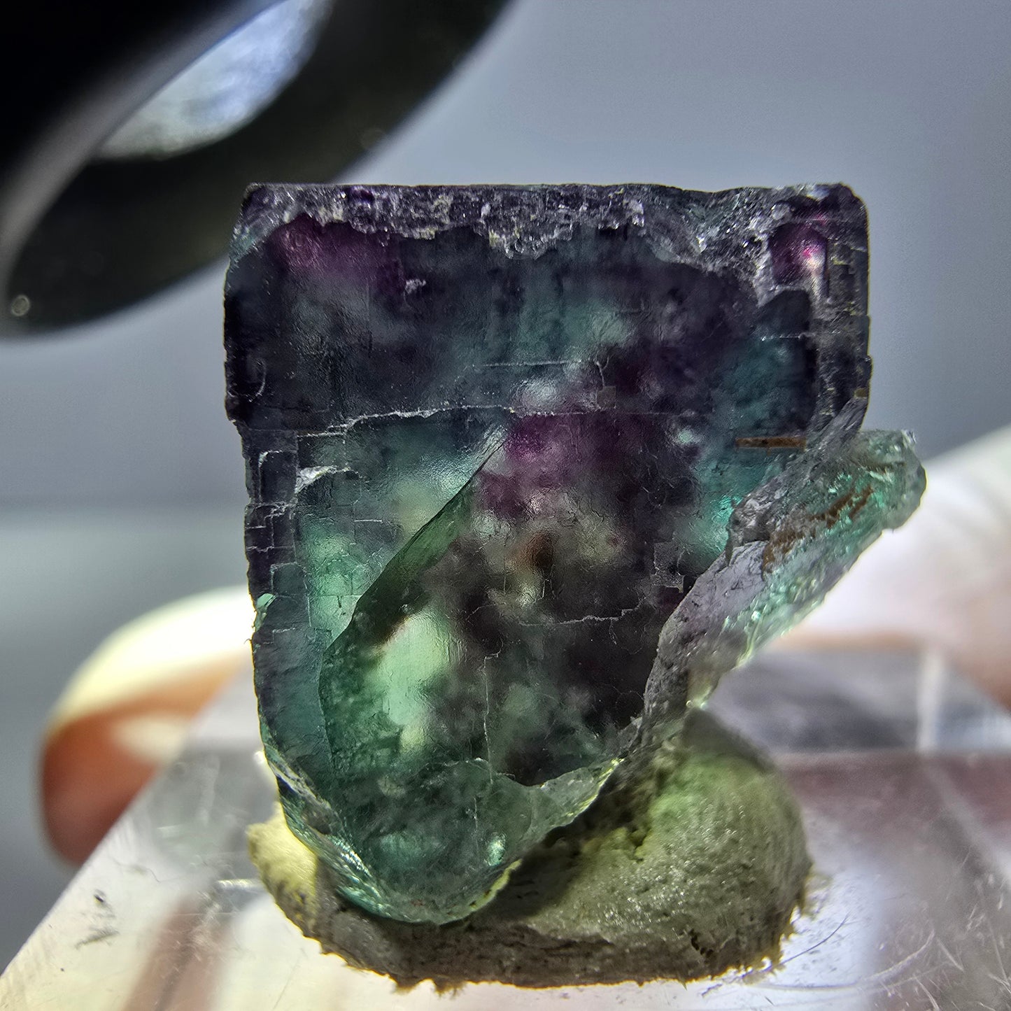 Phantom Fluorit Würfel parkettiert, grün lila Okorusu, Namibia 17*16*16mm