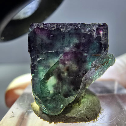 Phantom Fluorit Würfel parkettiert, grün lila Okorusu, Namibia 17*16*16mm