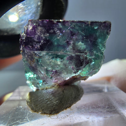 Phantom Fluorit Würfel parkettiert, grün lila Okorusu, Namibia 17*16*16mm