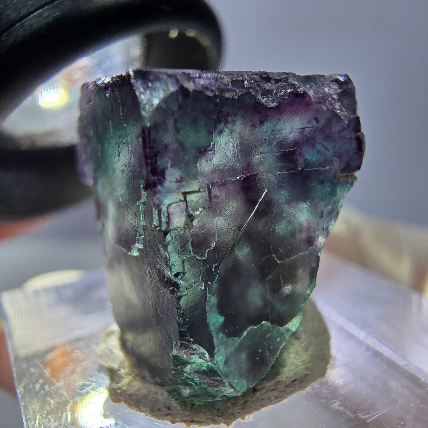 Phantom Fluorit Würfel parkettiert, grün lila Okorusu, Namibia 17*16*16mm
