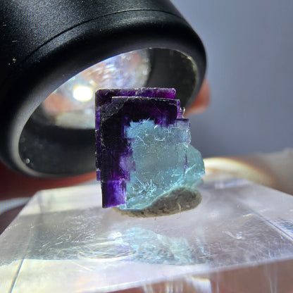 Phantom Fluorit Würfel parkettiert, grün lila Okorusu, Namibia 12*12*11mm