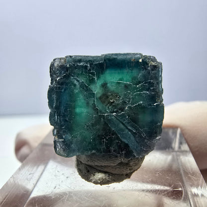 Phantom Fluorit Würfel parkettiert, grün lila Okorusu, Namibia 16*16*14mm