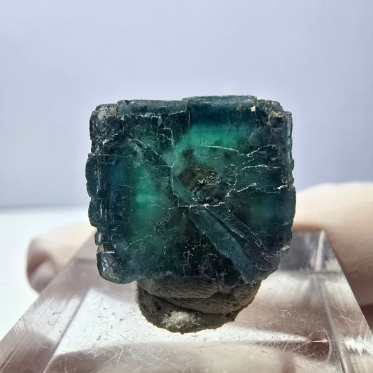 Phantom Fluorit Würfel parkettiert, grün lila Okorusu, Namibia 16*16*14mm