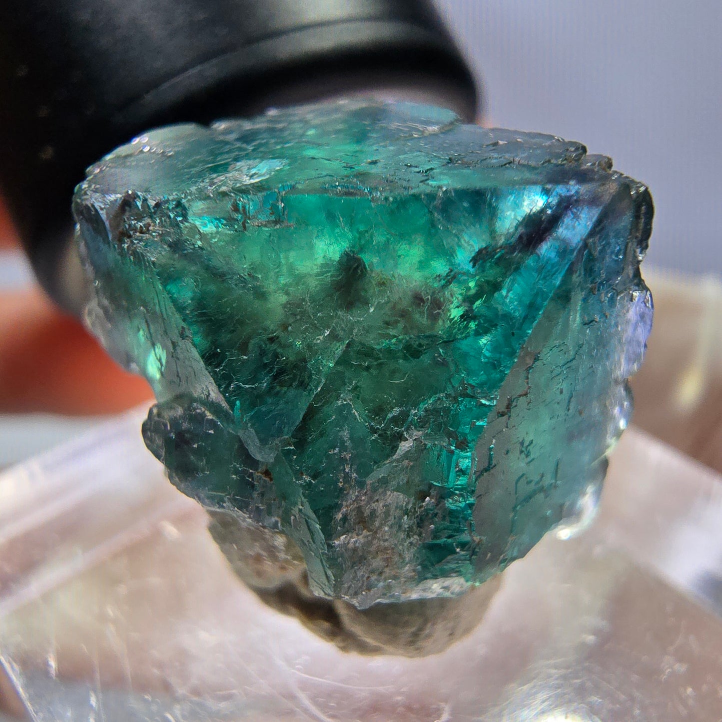 Phantom Fluorit Würfel parkettiert, grün lila Okorusu, Namibia 16*16*14mm