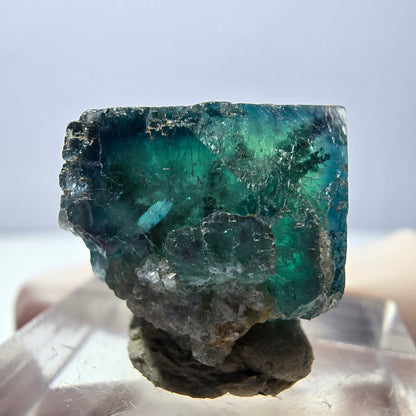 Phantom Fluorit Würfel parkettiert, grün lila Okorusu, Namibia 16*16*14mm