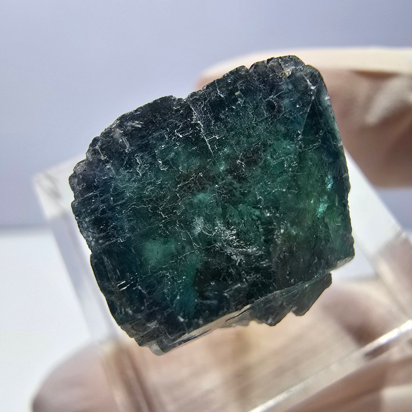 Phantom Fluorit Würfel parkettiert, grün lila Okorusu, Namibia 16*16*14mm