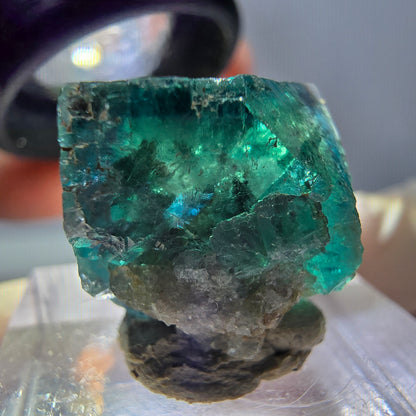 Phantom Fluorit Würfel parkettiert, grün lila Okorusu, Namibia 16*16*14mm