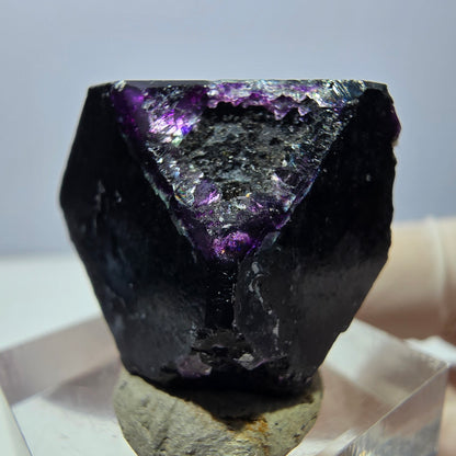 Phantom Fluorit Würfel, lila grün Okorusu, Namibia 27*27*18mm