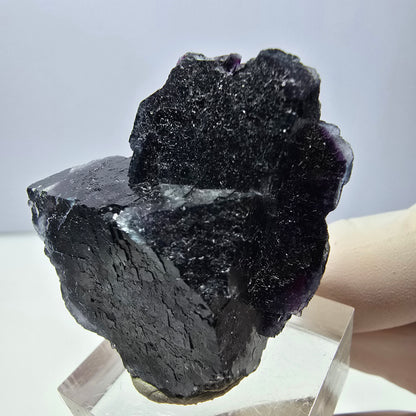 Phantom Fluorit Würfel Stufe, lila grün Okorusu, Namibia 40*33*21mm
