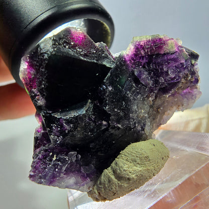 Phantom Fluorit Würfel Stufe, lila grün Okorusu, Namibia 40*29*21mm