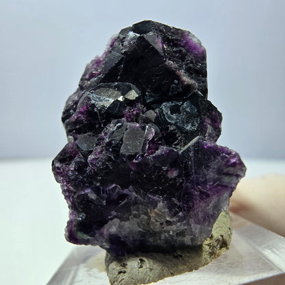 Phantom Fluorit Würfel Stufe, lila grün Okorusu, Namibia 40*29*21mm