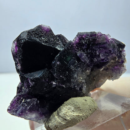 Phantom Fluorit Würfel Stufe, lila grün Okorusu, Namibia 40*29*21mm