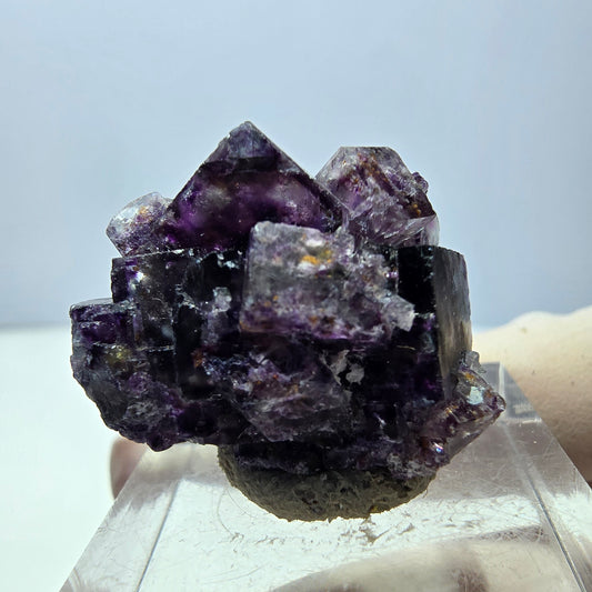 Phantom Fluorit Würfel Stufe, lila weiß Okorusu, Namibia 26*20*15mm