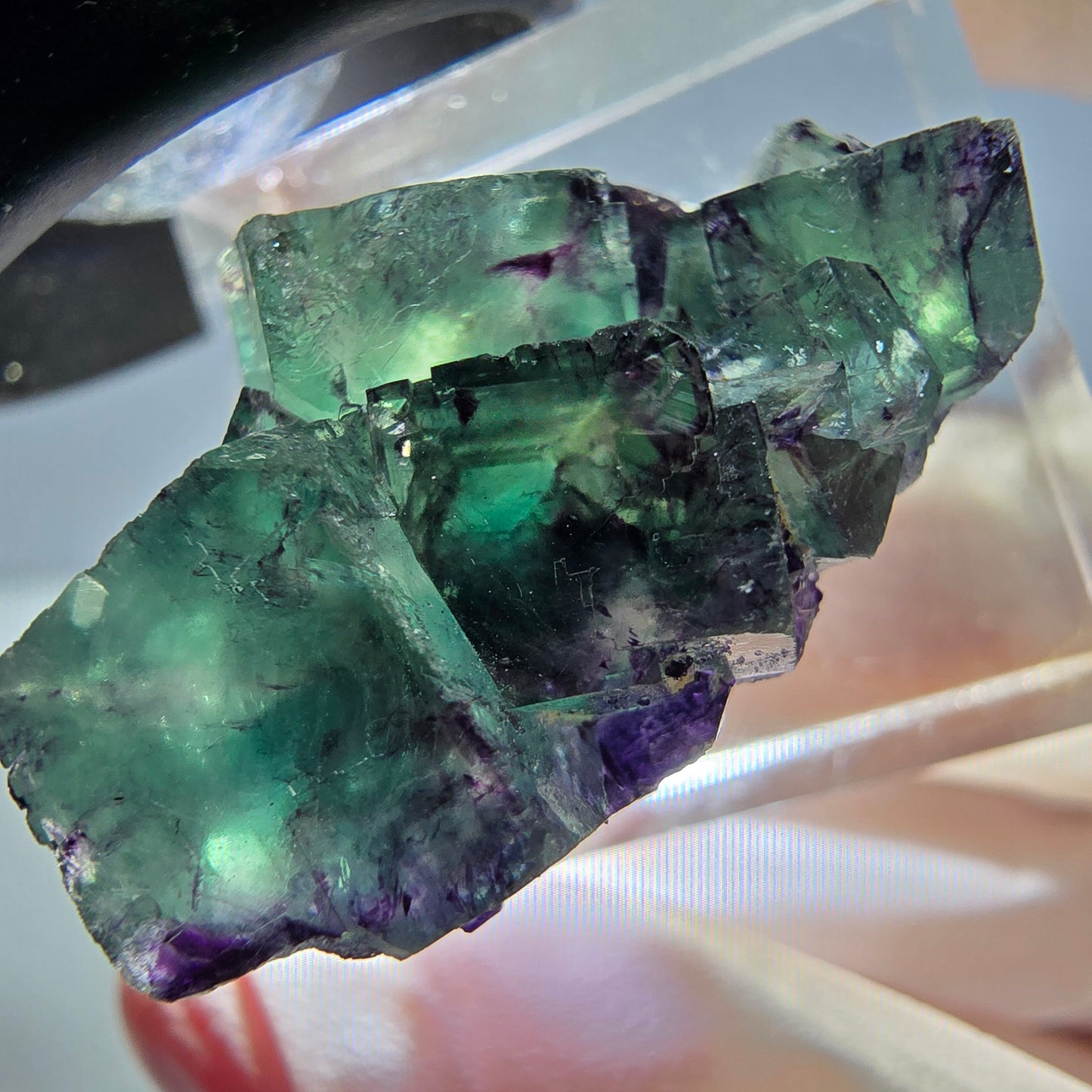 Phantom Fluorit Würfel Stufe, lila grün Okorusu, Namibia 29*23*15mm