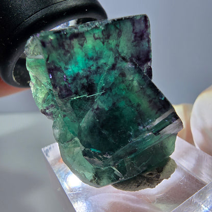 Phantom Fluorit Würfel Stufe, lila grün Okorusu, Namibia 32*25*20mm