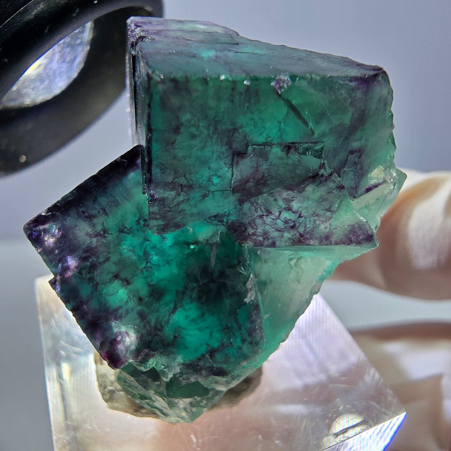 Phantom Fluorit Würfel Stufe, lila grün Okorusu, Namibia 32*25*20mm