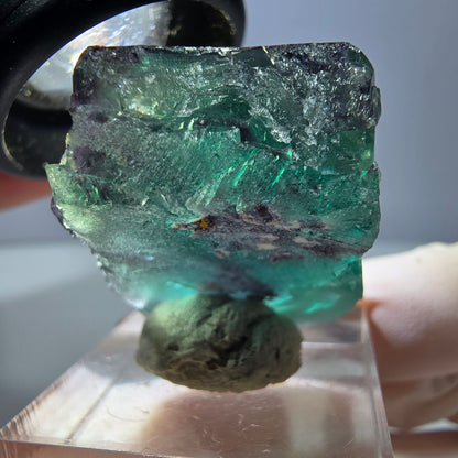 Phantom Fluorit Würfel Stufe, lila grün Okorusu, Namibia 32*25*20mm