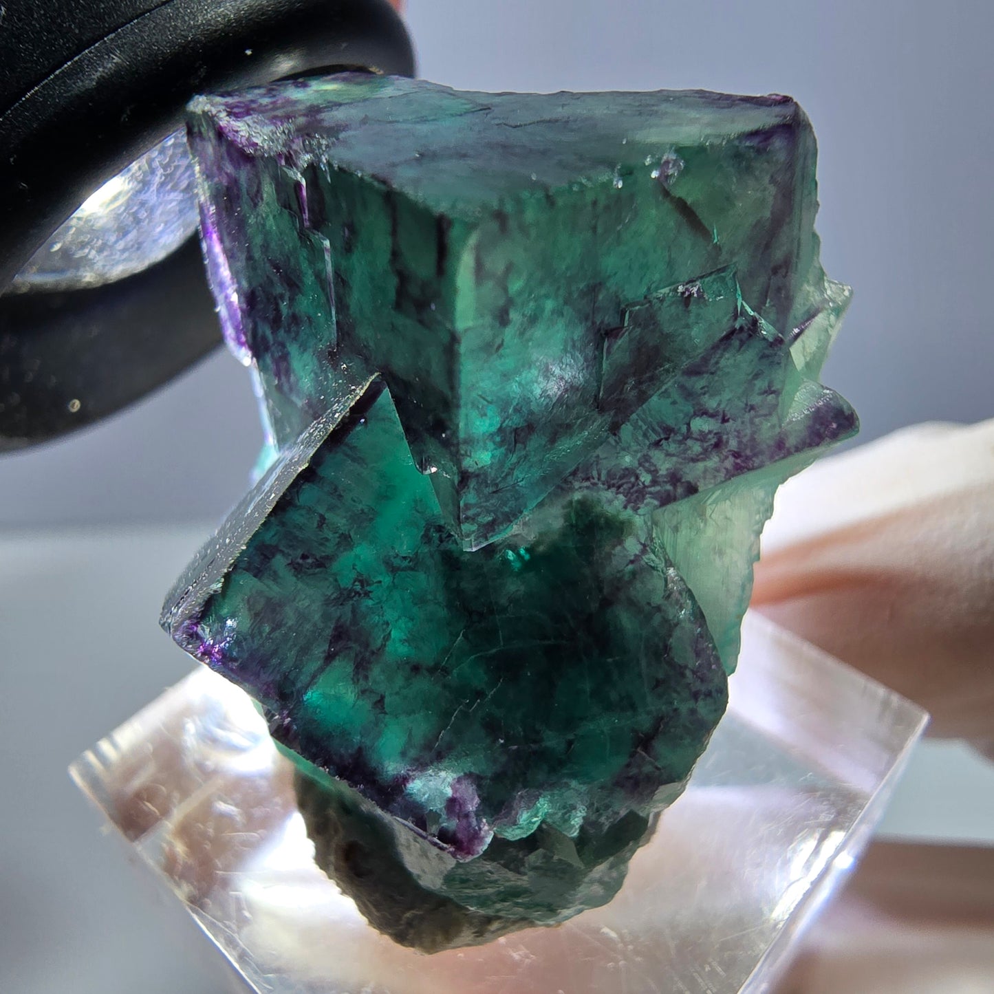 Phantom Fluorit Würfel Stufe, lila grün Okorusu, Namibia 32*25*20mm