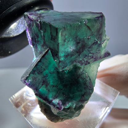 Phantom Fluorit Würfel Stufe, lila grün Okorusu, Namibia 32*25*20mm