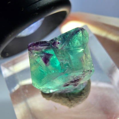 Phantom Fluorit Würfel Stufe, lila grün Okorusu, Namibia 18*12*11mm