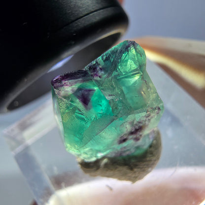 Phantom Fluorit Würfel Stufe, lila grün Okorusu, Namibia 18*12*11mm