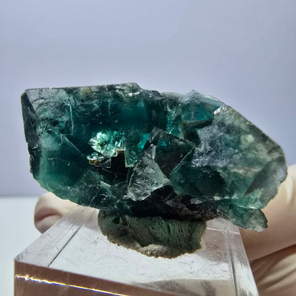 Phantom Fluorit Würfel Stufe, lila grün Okorusu, Namibia 27*22*16mm