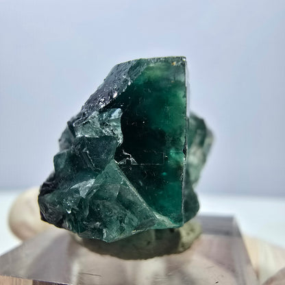 Phantom Fluorit Würfel Stufe, lila grün Okorusu, Namibia 27*22*16mm