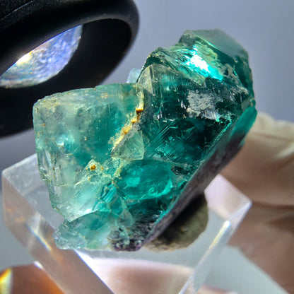Phantom Fluorit Würfel Stufe, lila grün Okorusu, Namibia 27*22*16mm