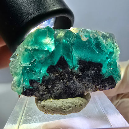 Phantom Fluorit Würfel Stufe, lila grün Okorusu, Namibia 27*22*16mm