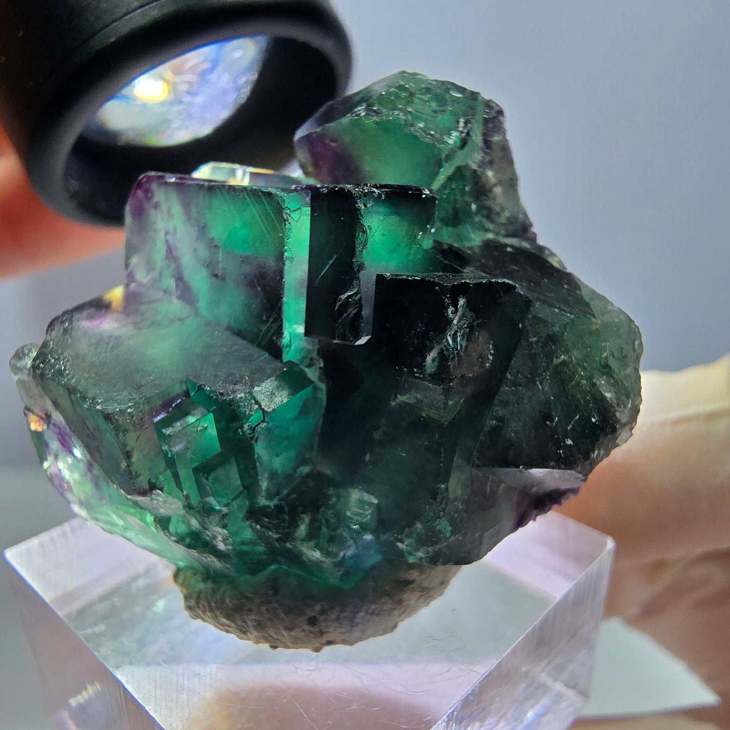 Phantom Fluorit Würfel Stufe, lila grün Okorusu, Namibia 34*29*21mm
