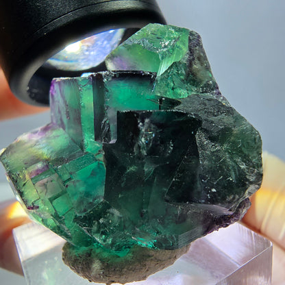 Phantom Fluorit Würfel Stufe, lila grün Okorusu, Namibia 34*29*21mm
