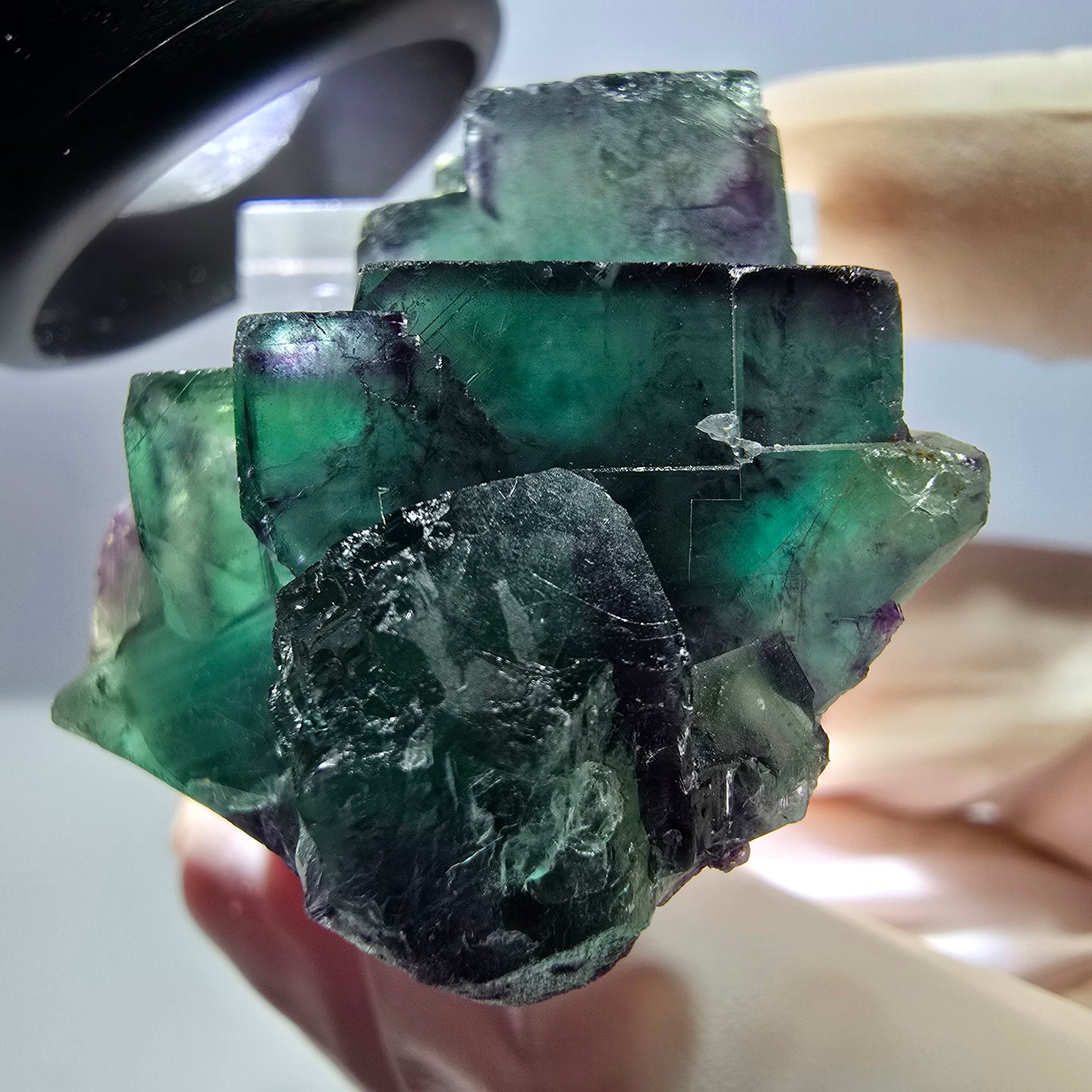 Phantom Fluorit Würfel Stufe, lila grün Okorusu, Namibia 34*29*21mm