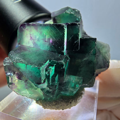 Phantom Fluorit Würfel Stufe, lila grün Okorusu, Namibia 34*29*21mm