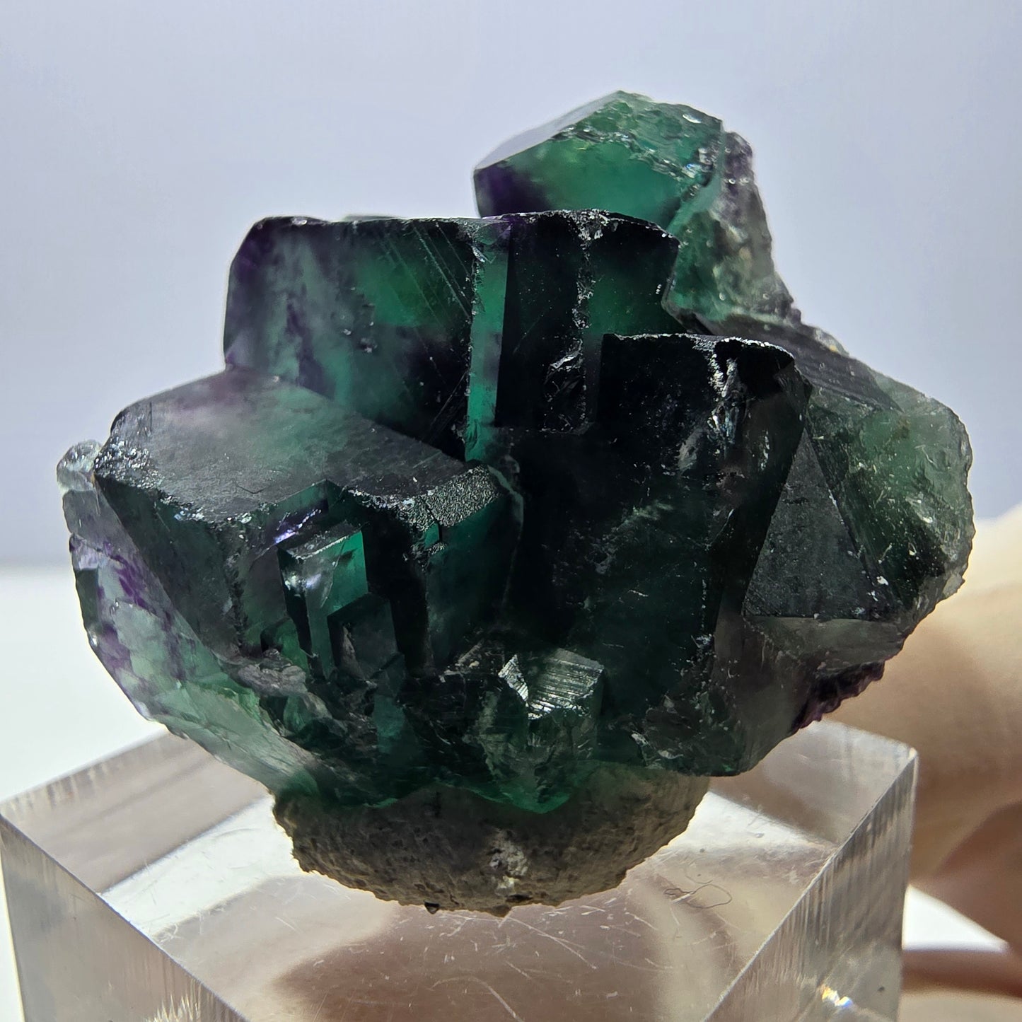 Phantom Fluorit Würfel Stufe, lila grün Okorusu, Namibia 34*29*21mm